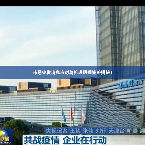 市场突发消息应对与机遇把握策略揭秘！