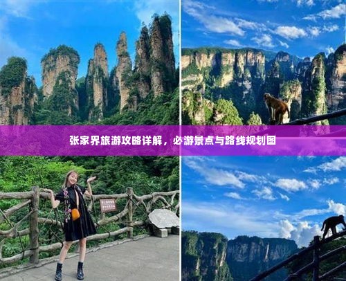 衣不重彩 第3页