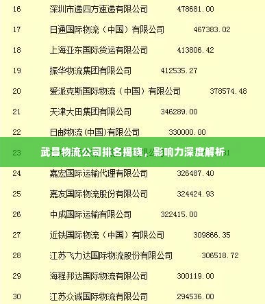 武昌物流公司排名揭晓,影响力深度解析