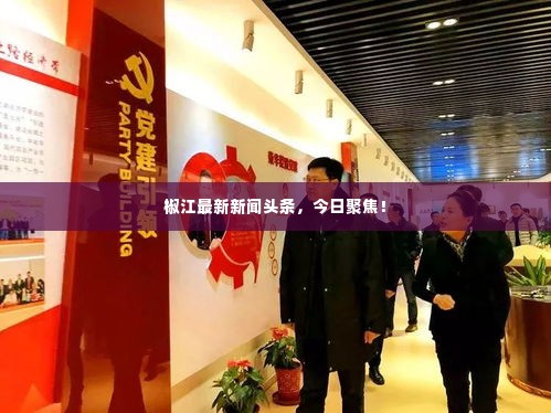 椒江最新新闻头条,今日聚焦!
