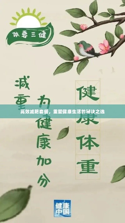 高效减肥套餐,重塑健康生活的秘诀之选