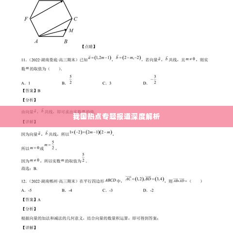 我国热点专题报道深度解析