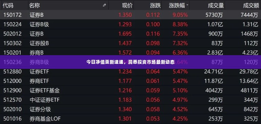 今日净值更新速递，洞悉投资市场最新动态