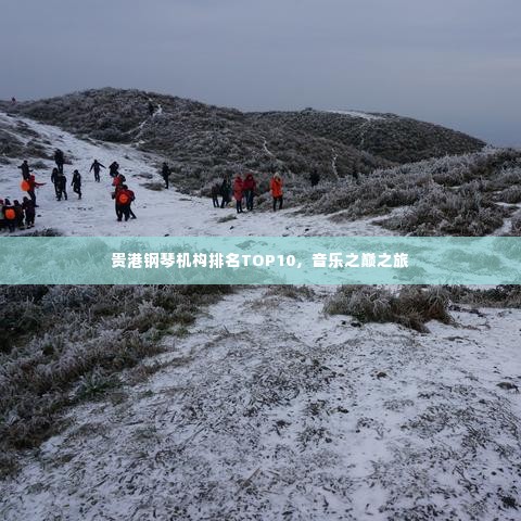 贵港钢琴机构排名TOP10，音乐之巅之旅