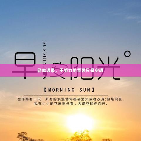 励志语录,不努力的坚强只是空想