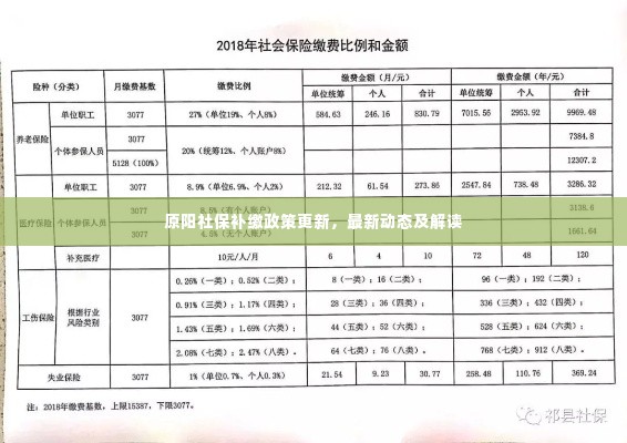原阳社保补缴政策更新，最新动态及解读