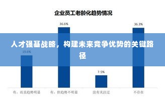 人才强基战略,构建未来竞争优势的关键路径