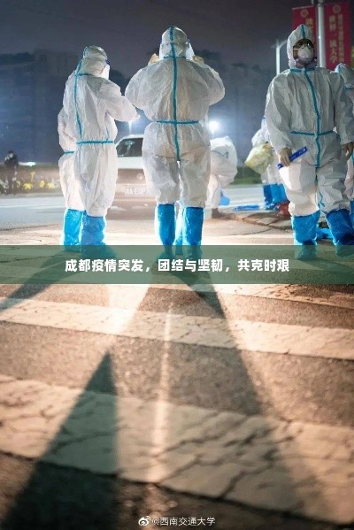 成都疫情突发,团结与坚韧,共克时艰