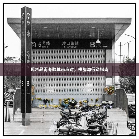 郑州暴雨考验城市应对，挑战与行动指南