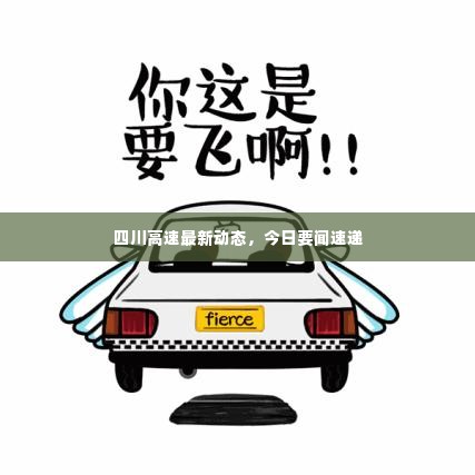 四川高速最新动态,今日要闻速递