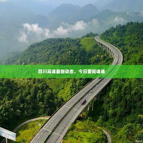 四川高速最新动态,今日要闻速递