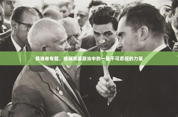 佩洛希专题,揭秘美国政治中的一股不可忽视的力量