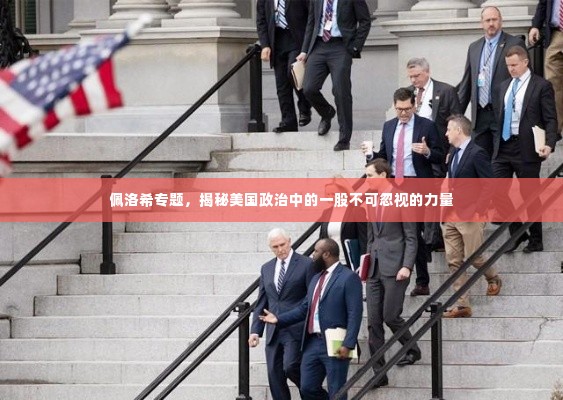 佩洛希专题,揭秘美国政治中的一股不可忽视的力量