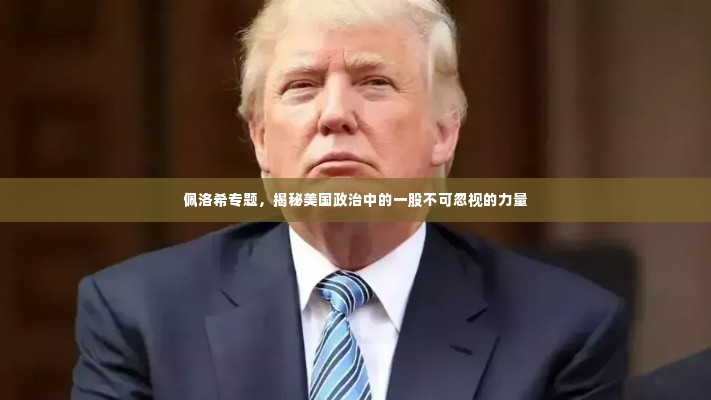 佩洛希专题,揭秘美国政治中的一股不可忽视的力量