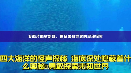 专题片题材新颖,揭秘未知世界的奥秘探索