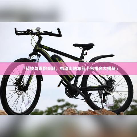 澹泊明志 第3页