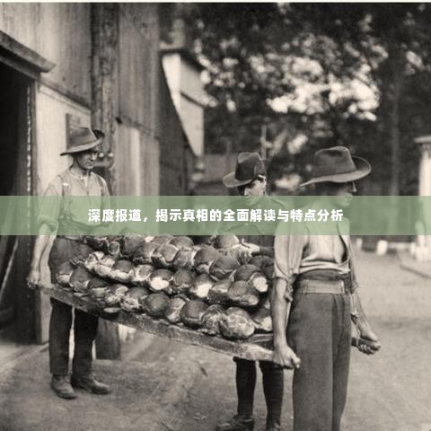 深度报道,揭示真相的全面解读与特点分析