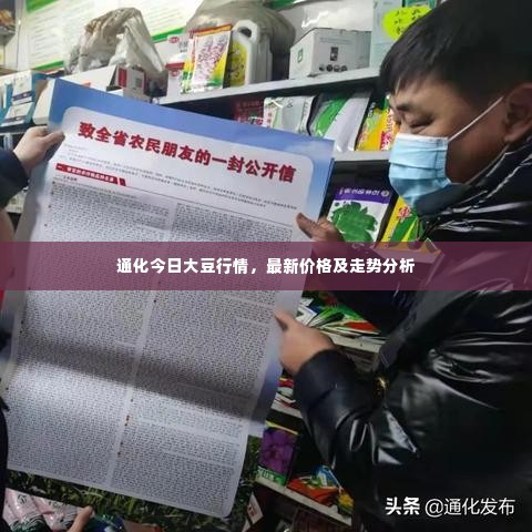 通化今日大豆行情,最新价格及走势分析