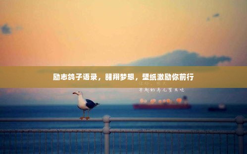 励志鸽子语录,翱翔梦想,壁纸激励你前行