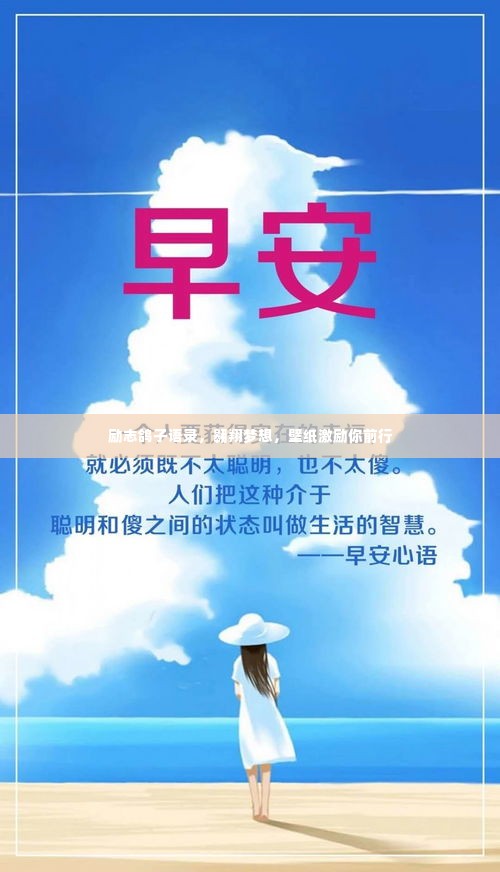 励志鸽子语录,翱翔梦想,壁纸激励你前行