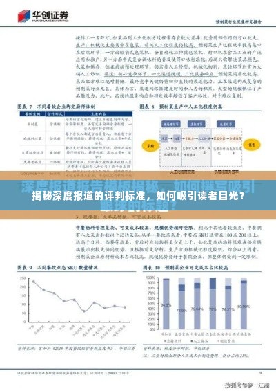 揭秘深度报道的评判标准,如何吸引读者目光?