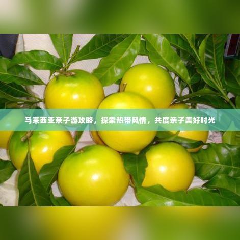 鬼张鬼智 第3页