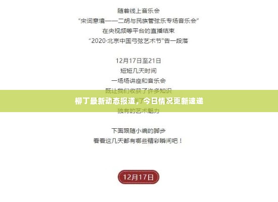 柳丁最新动态报道，今日情况更新速递