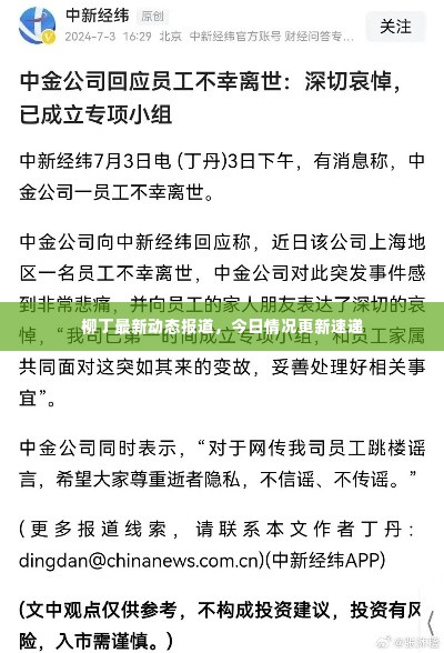 柳丁最新动态报道,今日情况更新速递