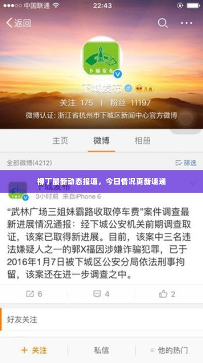 柳丁最新动态报道,今日情况更新速递