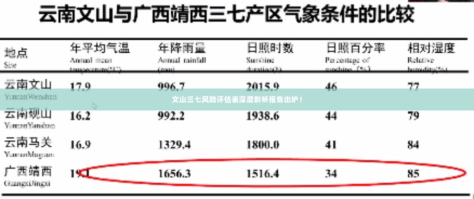 文山三七风险评估表深度剖析报告出炉！