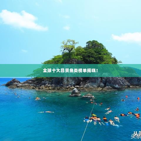 全球十大昂贵鱼类榜单揭晓！