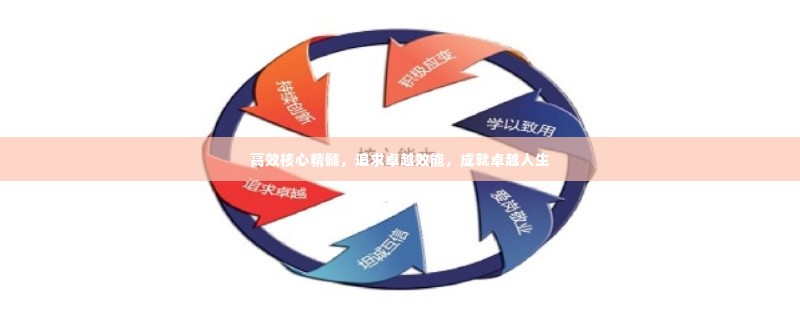 高效核心精髓,追求卓越效能,成就卓越人生
