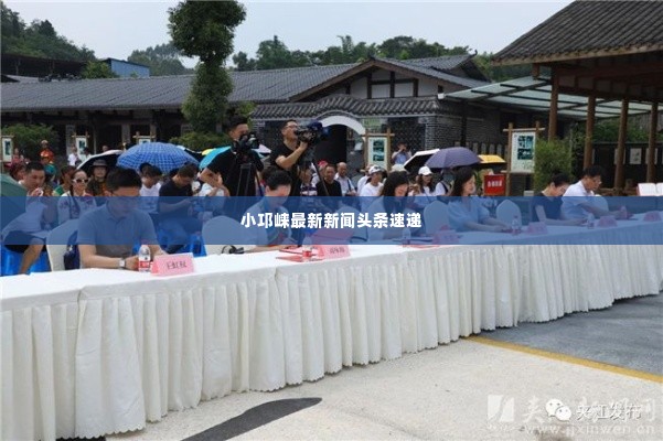 小邛崃最新新闻头条速递