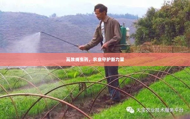 高效线虫药,农业守护新力量