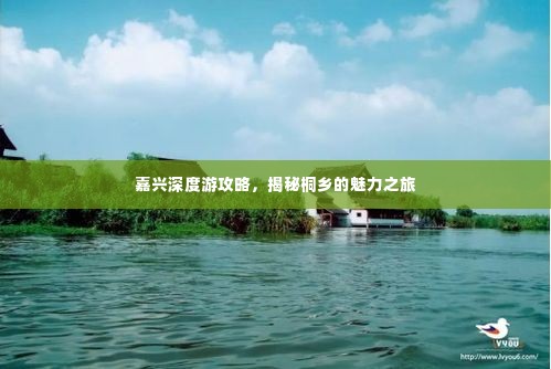 嘉兴深度游攻略,揭秘桐乡的魅力之旅