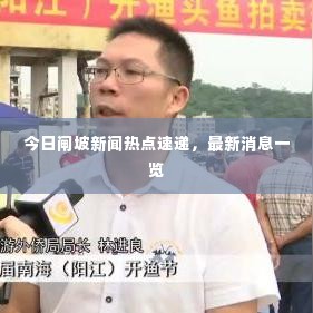 今日闸坡新闻热点速递,最新消息一览