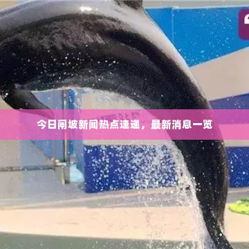 今日闸坡新闻热点速递,最新消息一览