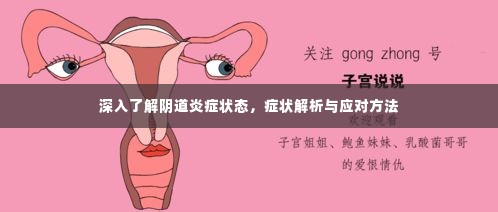深入了解阴道炎症状态,症状解析与应对方法
