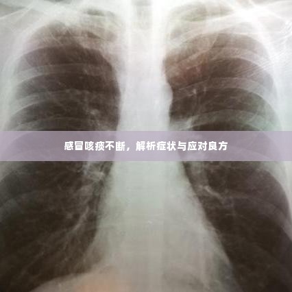 感冒咳痰不断，解析症状与应对良方