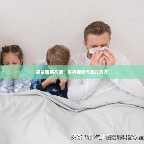 感冒咳痰不断,解析症状与应对良方