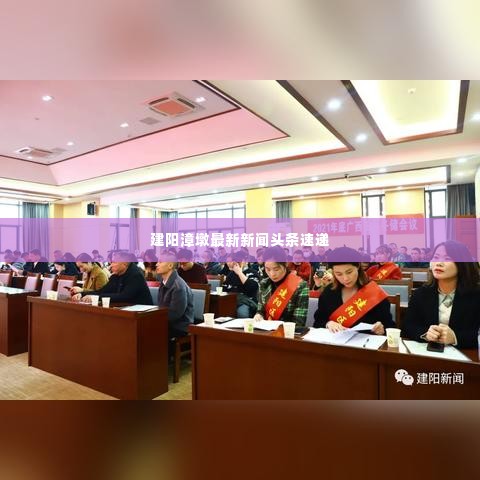 建阳漳墩最新新闻头条速递