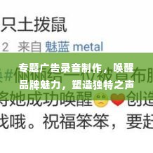 专题广告录音制作,唤醒品牌魅力,塑造独特之声
