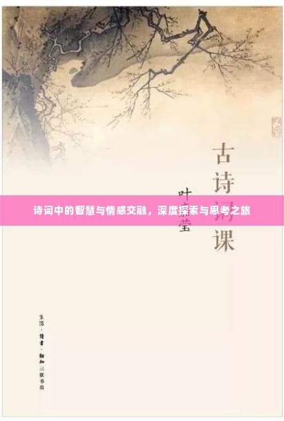 诗词中的智慧与情感交融,深度探索与思考之旅