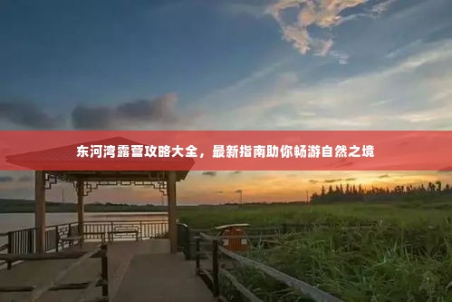 东河湾露营攻略大全,最新指南助你畅游自然之境