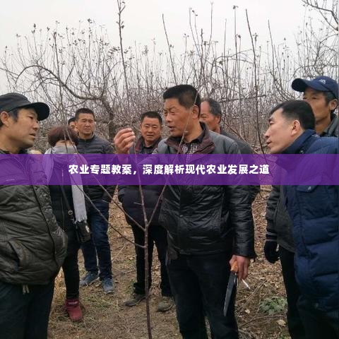 农业专题教案,深度解析现代农业发展之道