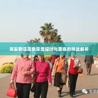 突发翻译现象深度探讨与面临的挑战解析