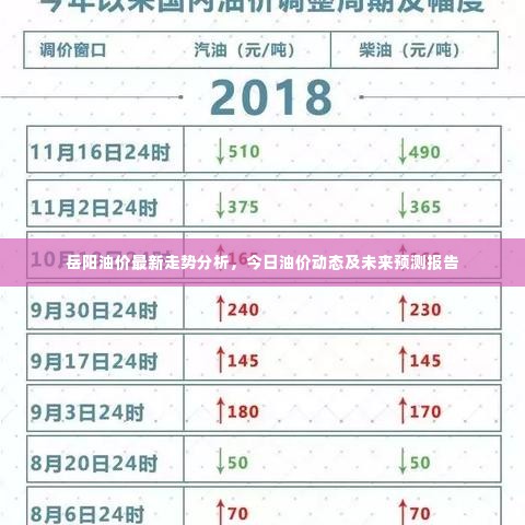 岳阳油价最新走势分析，今日油价动态及未来预测报告