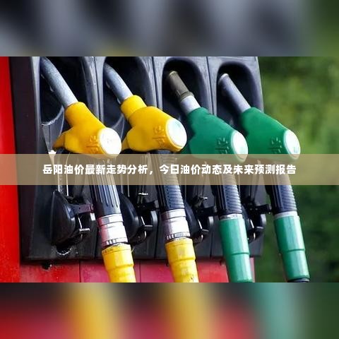 岳阳油价最新走势分析,今日油价动态及未来预测报告