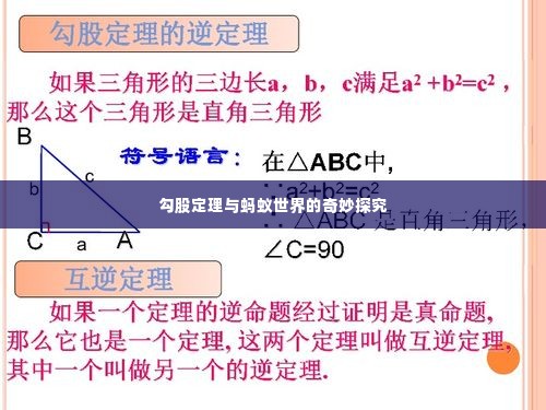 勾股定理与蚂蚁世界的奇妙探究