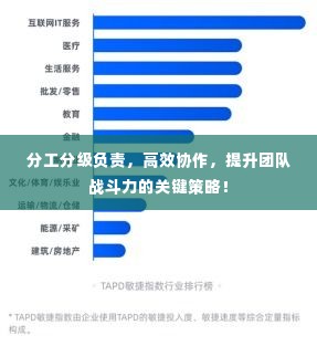 分工分级负责，高效协作，提升团队战斗力的关键策略！